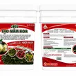  GREEN RICE – KALY HYDROPHOS